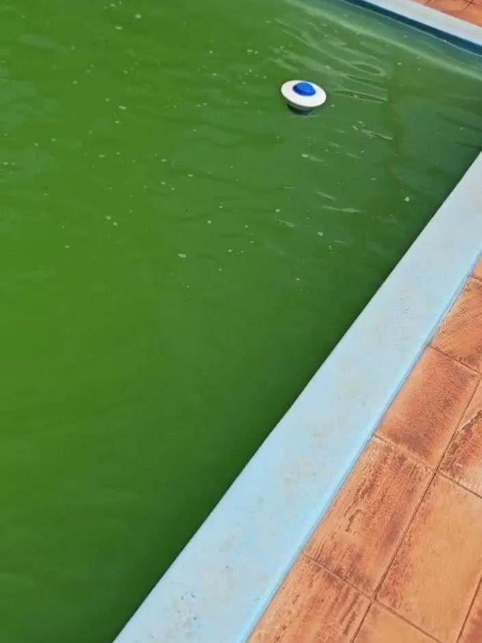 Antes: piscina de chácara com a água toda verde, só a boia de cloro boiando